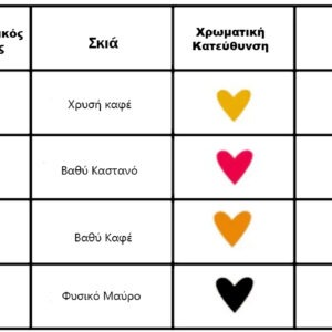 noemi colors lovely henna