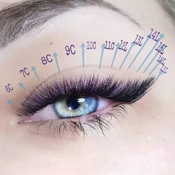 Σχεδίαση μοντέλαρισμα βλεφαρίδων